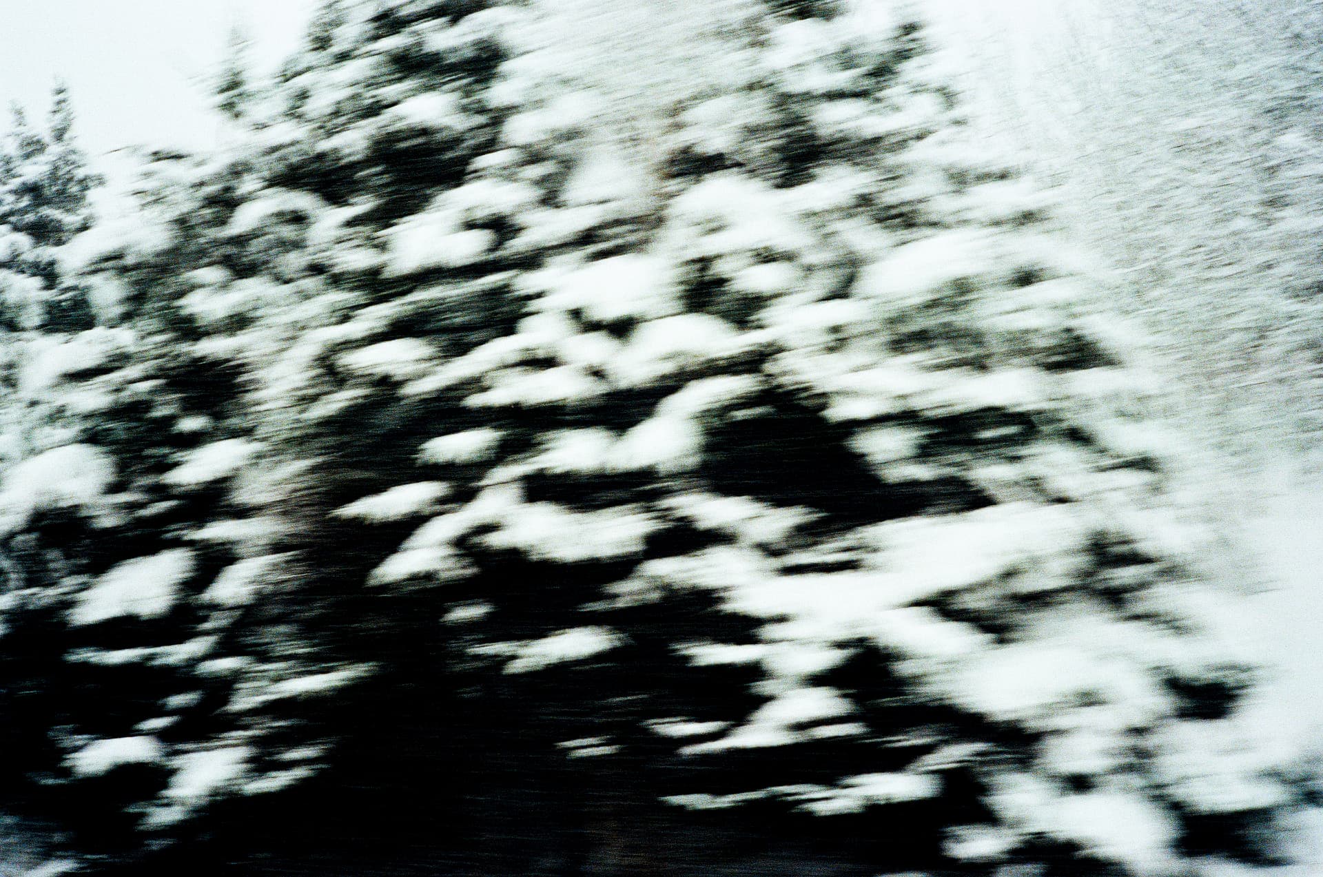 Track four artwork